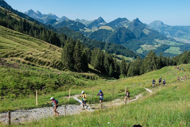 Gruyère Trail de Charmey Gruyère Trail de Charmey